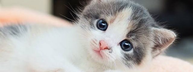 るい　(どっかの誰か)旧アカさんの壁紙画像