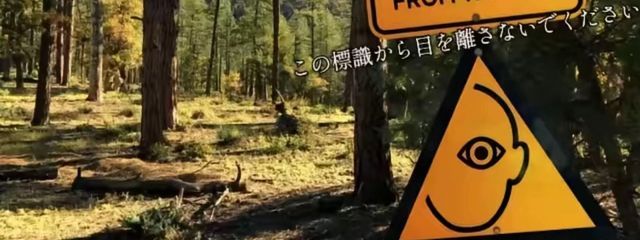 ☩ 夏莉 ☩さんの壁紙画像