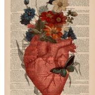 ☩ 夏莉 ☩さんのアイコン画像