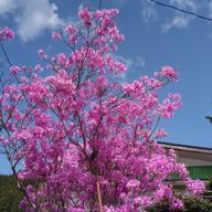 悠貴さんのアイコン画像
