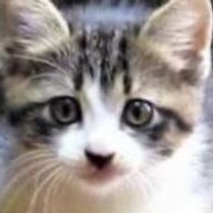 ななななんさんのアイコン画像