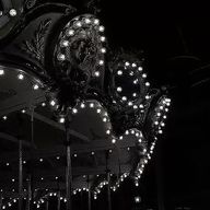 鮪  ︶  🦈さんのアイコン画像