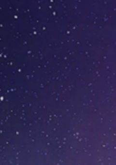 サイコロの5は一生出ません