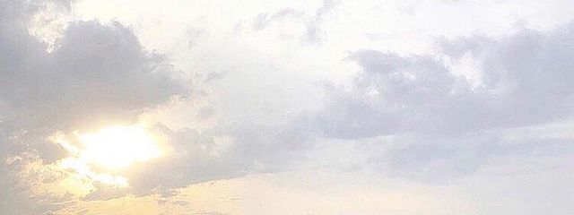 しおりんご。さんの壁紙画像