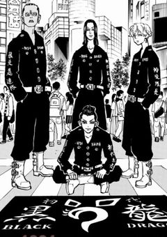 ベンケイの妹、溺愛中です