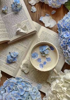 【 グループメンバー募集 】小説グループ作りたいから募集してみる.ᐟ‪w