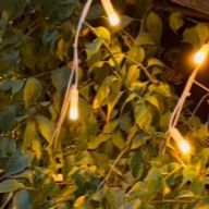 くさんのアイコン画像