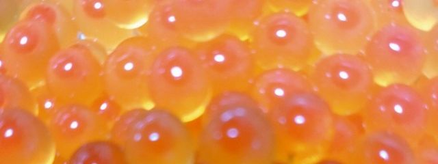 魔性の女Tさんの壁紙画像