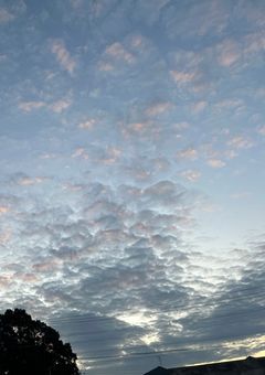 イラストぽいぽい