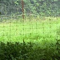 うたさんのアイコン画像