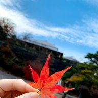 かみはさんのアイコン画像