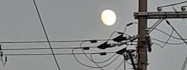   天  候  兕  さんの壁紙画像