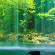 🎶(無期限休止中？)さんのアイコン画像