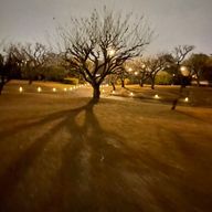 シン ﾔさんのアイコン画像