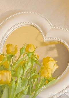 〰︎  ひ あ が 現 れ た　‼️ 🍮💛  