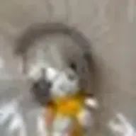 sstokさんのアイコン画像