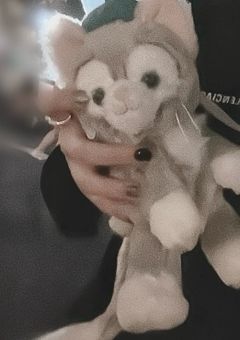 "画面越し"の君に