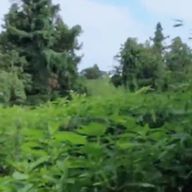 eniy..!さんのアイコン画像