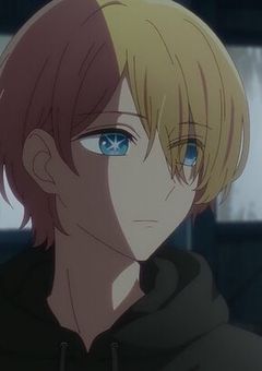 妹弟に嫌われているのですが。 【推しの子】