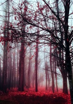 プロセカキャラにデスゲームさせたかった