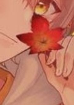 # 夕 方 音 楽 室 の 向 日 葵 と 楓 と 君 と メ ロ デ ィ .