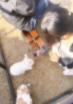 大切なお知らせ。