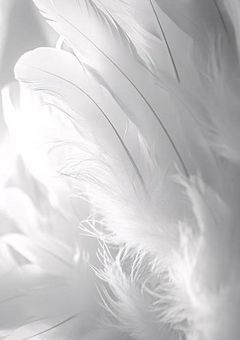 ふたりの天使と6人の…