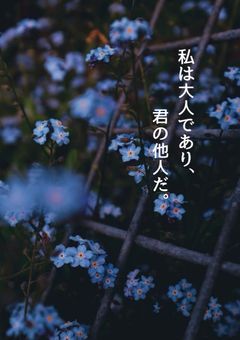 私は大人であり君の他人だ
