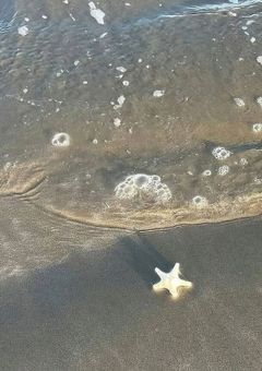      ❥     お友達探し     ♱ · . ༝