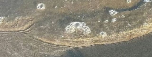                     じゅい      。さんの壁紙画像