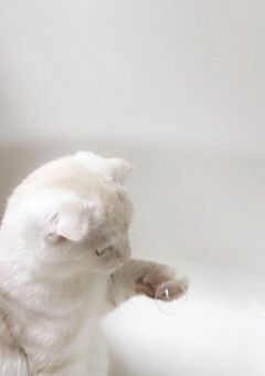 TJのお姫様✨