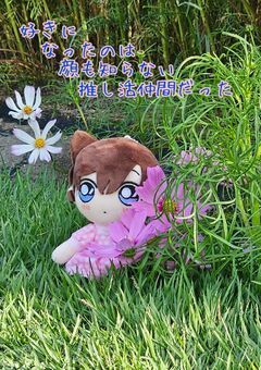 好きになったのは顔も知らない推し活仲間だった