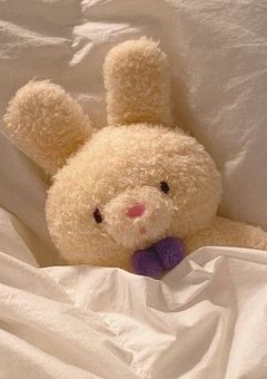 🎀  𝒞𝓊𝓉𝑒𝒻𝓇𝒾𝑒𝓃𝒹𝓈  🎀   