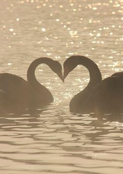 𝐒 𝐌 𝐈 𝐋 𝐄