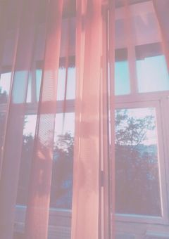 幼なじみじゃ、もう足りない。