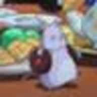 rimisauさんのアイコン画像
