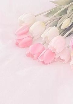 またあなたに恋をした