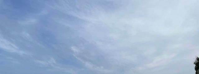 まりん さんの壁紙画像