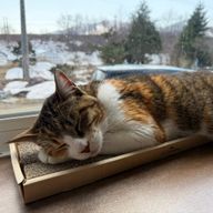 nanaさんのアイコン画像