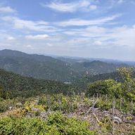 dtuvhcさんのアイコン画像