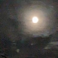 ひみこさんのアイコン画像