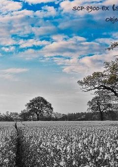 とある財団職員、特別扱いされてるらしい。