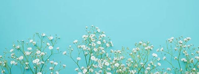 ブタペスト@ハンガリーの首都さんの壁紙画像