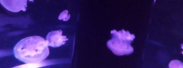 @むあさんの壁紙画像