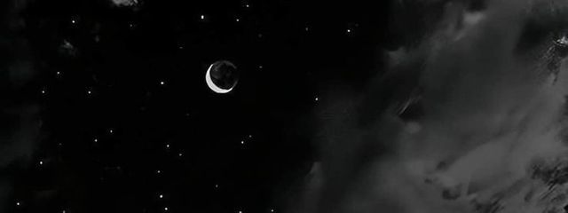 恋瑚さんの壁紙画像