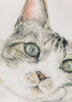 もんのイラスト部屋