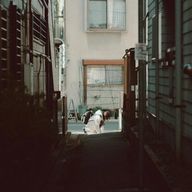 HITさんのアイコン画像