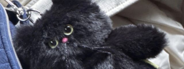 如月 かれん️🕊️🫧𓂃𓈒 𓂂𓏸さんの壁紙画像