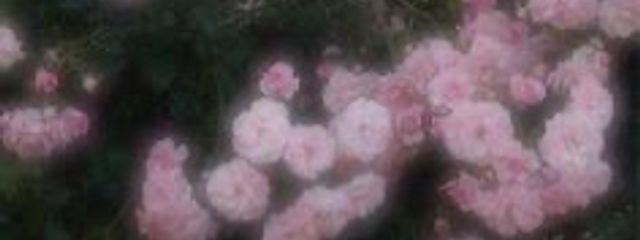 #七瀬 。さんの壁紙画像