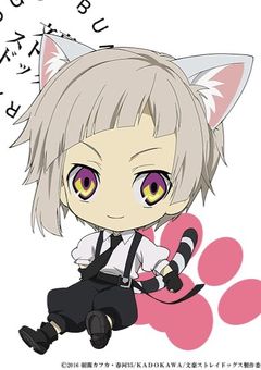 猫アレルギーなのに探偵社の猫（？）さわれてるんだが。